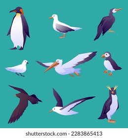 Different sea birds and seagulls collection flat vector illustration isolated on color background. Seabird gulls and penguins, inhabitants of the sea or coast.