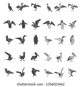 Different sea birds simple, black and white colors concept icons set