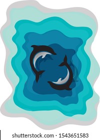 different sea color with dolphin