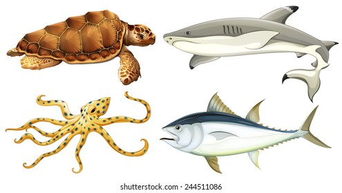 Different sea creatures on a white background