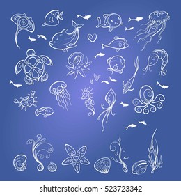 different sea and ocean creatures, vector illustration