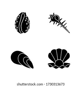 Different sea shells black glyph icons set on white space. Seashells collection, conchology silhouette symbols. Open clam with pearl, spiked conch, cowrie and cone shells vector isolated illustrations