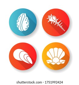 Different sea shells flat design long shadow glyph icons set. Seashells collection, conchology Open clam with pearl, spiked conch, cowrie and cone shells silhouette RGB color illustrations