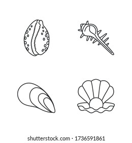 Different sea shells pixel perfect linear icons set. Customizable thin line contour symbols. Clam with pearl, spiked conch, cowrie and cone shell isolated vector outline illustrations. Editable stroke