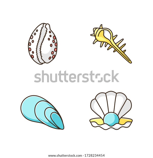 Different sea shells RGB color icons\
set. Seashells collection, conchology Open clam with pearl, spiked\
conch, cowrie and cone shells isolated vector\
illustrations