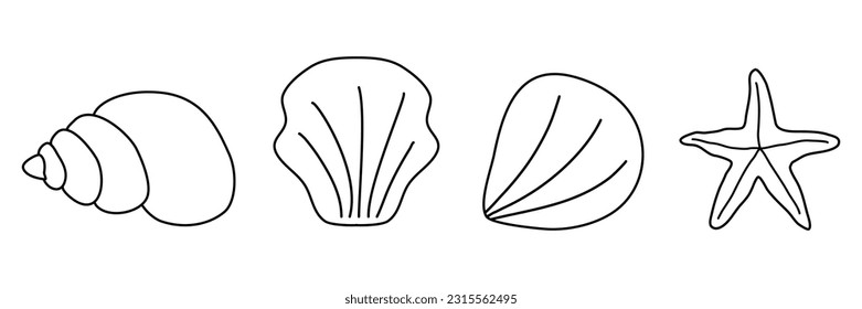 Different sea shells and sea star in a row, doodle style flat vector outline for coloring book