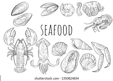 Different seafood products, vector engraving style