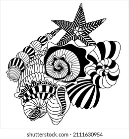 Different seashells on a white background. Vector illustration