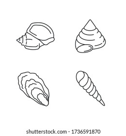 Different seashells pixel perfect linear icons set. Customizable thin line contour symbols. Triton trumpet, oyster, auger and top snail shells isolated vector outline illustrations. Editable stroke