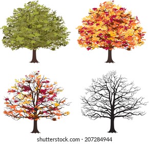 Different Seasons Art Tree Vector Illustration Stock Vector (Royalty ...