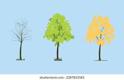 Different seasons of art tree. Vector illustration.