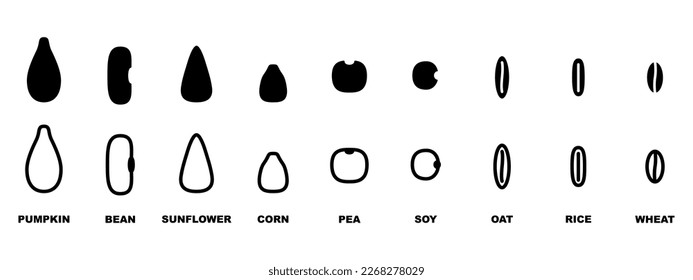 Different seed icon set line illustration