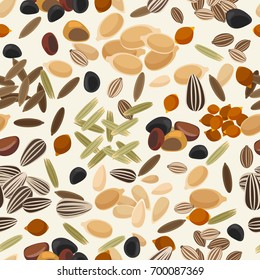 Different seeds colorful pattern with white background. Vector illustration