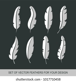 Different set feather vector icon isolated on white background. Collection for writing text and design. Graphic illustration