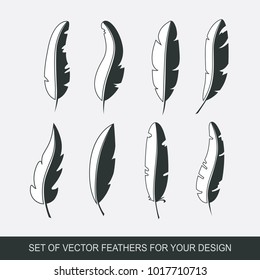 Different set feather vector icon isolated on white background. Collection for writing text and design. Graphic illustration