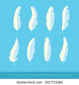 Different set feather vector icon isolated on blue background. Collection for writing text and design. Flat Graphic illustration