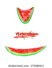 Different shape slices of juicy watermelon made in watercolor technique