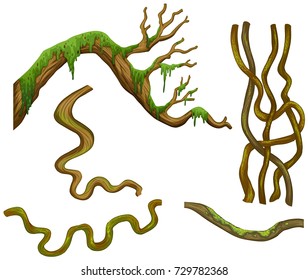 Diferentes formas de ilustración de ramas