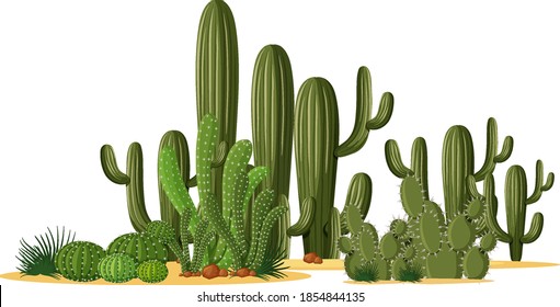 Different shapes of cactus in a group illustration