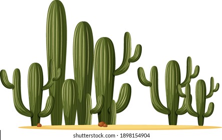 Different shapes of cactus in a group illustration