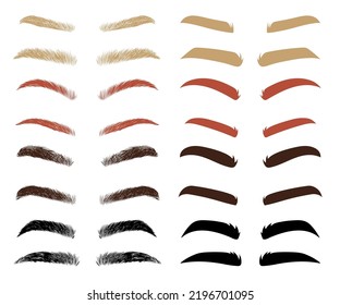 Different shapes and colors of eyebrows vector illustrations set. Thin and thick eyebrows of men or women, male or female brow types isolated on white background. Beauty, makeup, cosmetics concept