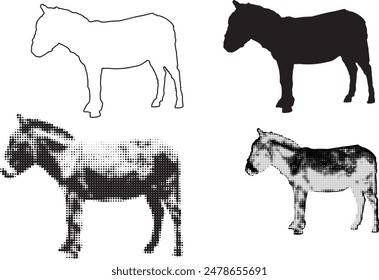 Different shapes of a donkey