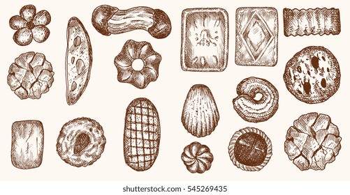 Different shapes and kinds cookies and bakery goods isolated on background - elements for design, hand drawn vector illustrations in retro vintage engraving style. For cafe menu, recipe, packaging.