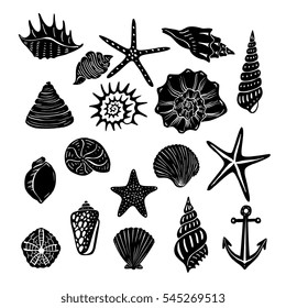 Different shapes and kinds of Seashells and starfish isolated on background - elements for design, silhouette, hand drawn vector illustration.  