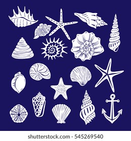 Different shapes and kinds of Seashells and starfish isolated on background - elements for design, silhouette, hand drawn vector illustration.  