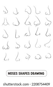 different shapes of noses vector line 