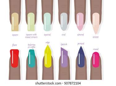 Collection Different Shapes Forms Nails French Stock Vector (Royalty ...