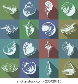 Different shells. icons.