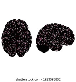 Different side view black human brain with pink line silhouettes isolated on white background