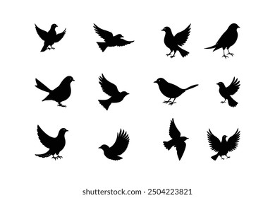 Different Silhouette of Birds Set Vector Illustration.