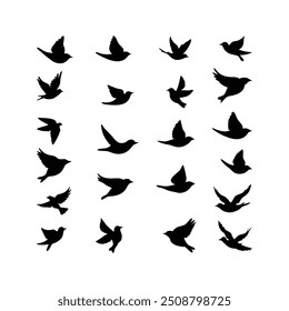 Different Silhouette of Birds Set Vector Illustration