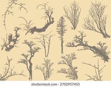 Different silhouette collection of branch and trees