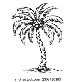 Different silhouettes of palm trees with coconuts isolated on white background, exotic plant with a powerful trunk and large leaves.