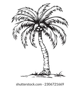 Different silhouettes of palm trees with coconuts isolated on white background, exotic plant with a powerful trunk and large leaves.