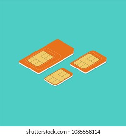 Different Sim Card Types. Isometric Illustration. Vector