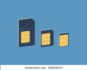 Different Sim Card Types. Isometric Illustration. Vector