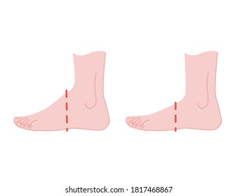 Different sizes humas foot stand flat vector illustration on white background