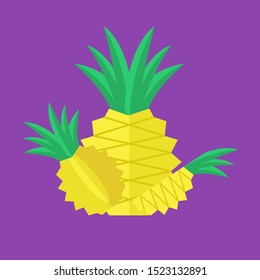 different slices of pineapple fruit.