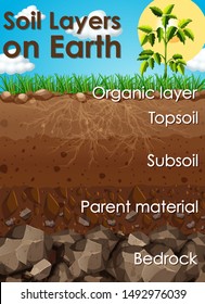 Different Soil Layers On Earth Illustration