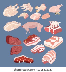 Different sort of meat illustration on the blue background. Vector illustration