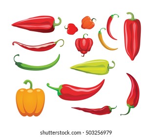 Different sorts of hot peppers in all colors, shapes and sizes. Chili. Vector illustration.