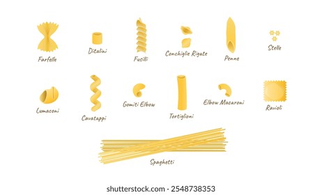 Diferentes tipos de pasta. Conjunto de diferentes tipos de pasta italiana. Farfelle, ditalini, fusilli, conchigle rigate, penne, stelle, lumaconi, cavatappi, gomiti, macarrones de codo, ravioles, espagueti, tortiglioni