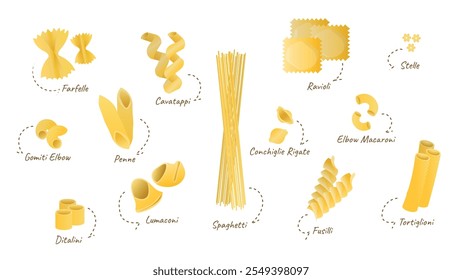 Diferentes tipos de pasta. Conjunto de diferentes tipos de pasta italiana. Farfelle, ditalini, fusilli, conchigle rigate, penne, stelle, lumaconi, cavatappi, gomiti, macarrones de codo, ravioles, espagueti, tortiglioni