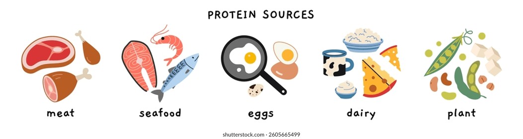 Different sources of protein, including meat, seafood, eggs, dairy, and plant based. Health and nutrition concepts. Trendy modern vector illustration isolated on white, hand drawn, flat design