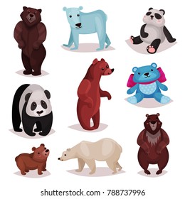 Different species of bears set, wild bears and toys furry bear characters cartoon vector Illustrations