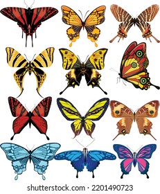 Different species of butterflies are suitable for printing and decorating.